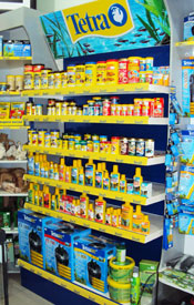 ��������� � ��������